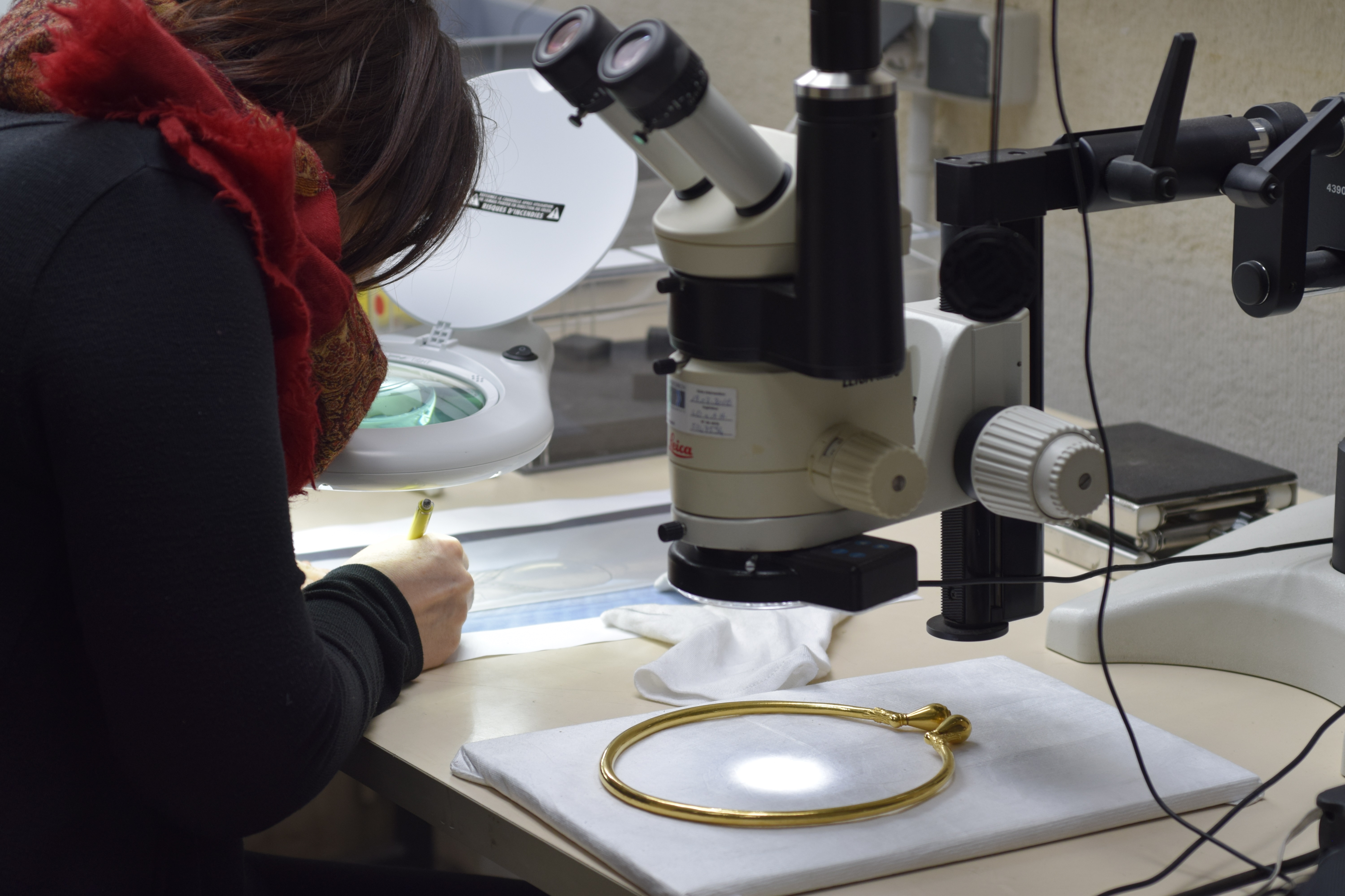 Etude de l'olpé en microscopie optique 