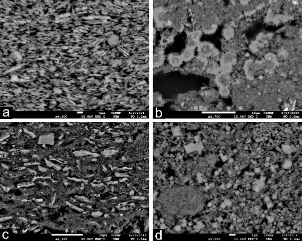 Détails des préparations au MEB-EDS, a. huntite, b. kaolinite et cristobalite, c. kaolinite et alunite tabulaire, d. kaolinite et alunite cubique
