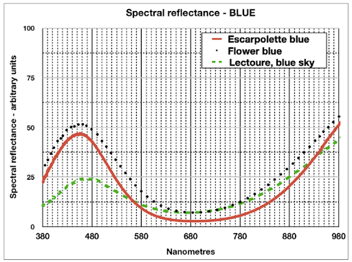 Courbes spectrales des bleus de trois héliographies de Louis Ducos du Hauron, Escarpolette, Fleurs bleues et Lectoure du Musée d'histoire naturelle de Lille. La similitude des courbes permet de rapprocher les œuvres dans la chronologie de production et d’orienter vers le pigment bleu de Prusse.