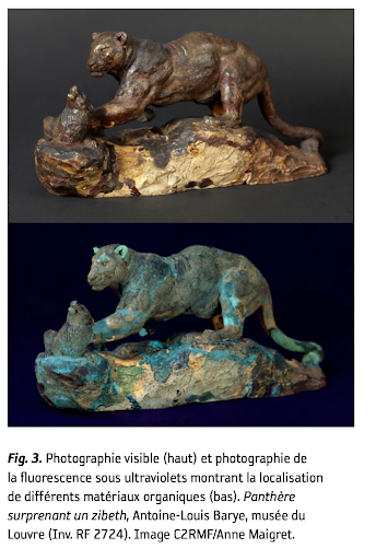 Photographie visible (haut) et photographie de fluorescence UV montrant la localisation de matériaux organiques (bas). Panthère surprenant un zibeth, Antoine Louis Barye C2RMF Anne Maigret