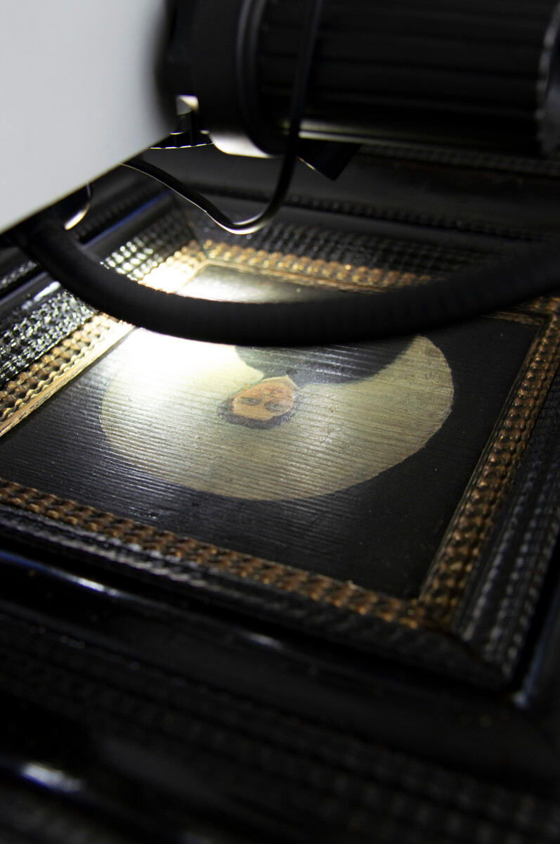 Photo de l'examen binoculaire, plan rapproché du détail de l'ouvrage. 