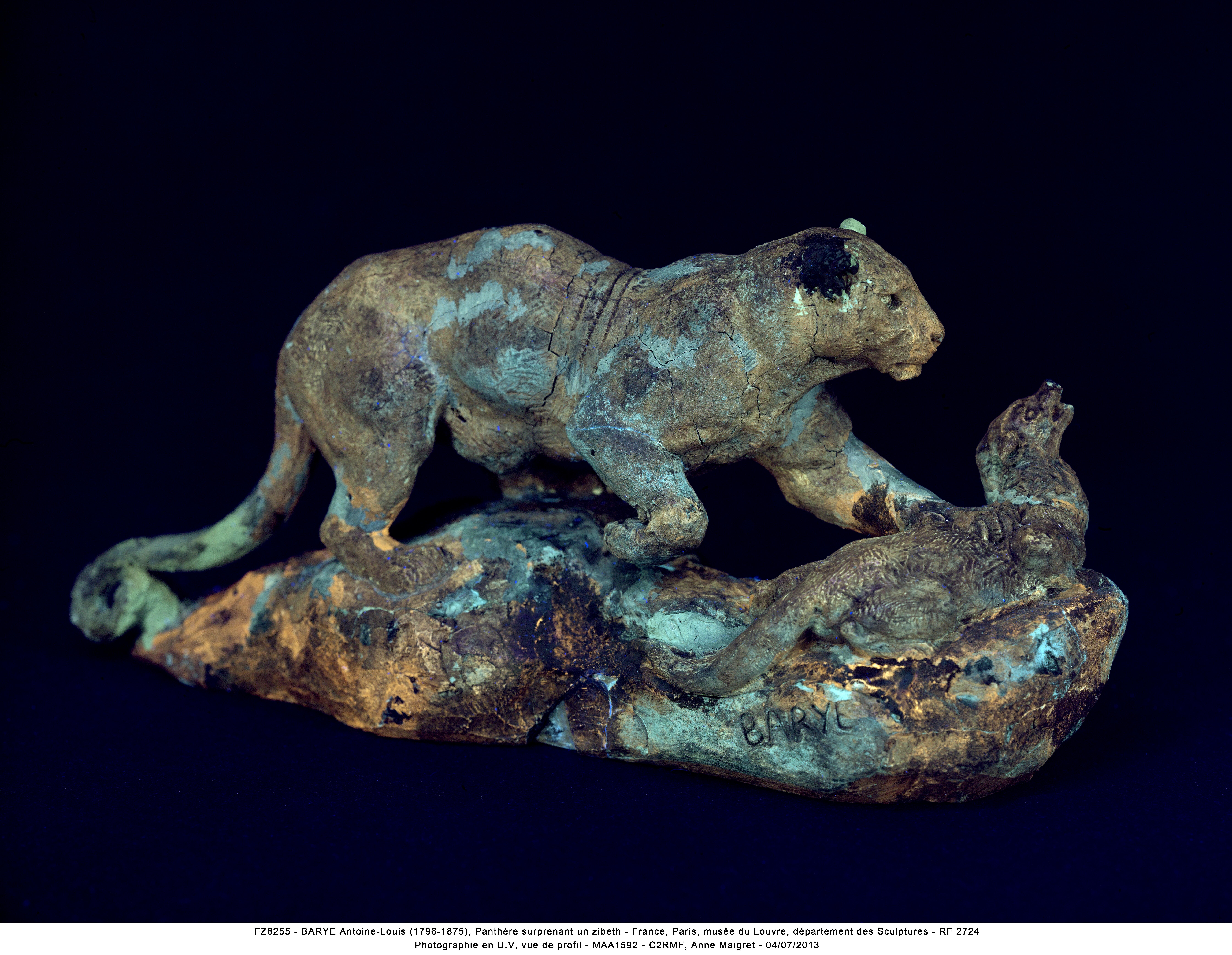 Vue de face depuis la droite, image numérique sous fluorescence d'ultraviolet, avant restauration, de la Panthère surprenant un zibeth d'Antoine-Louis Barye 
