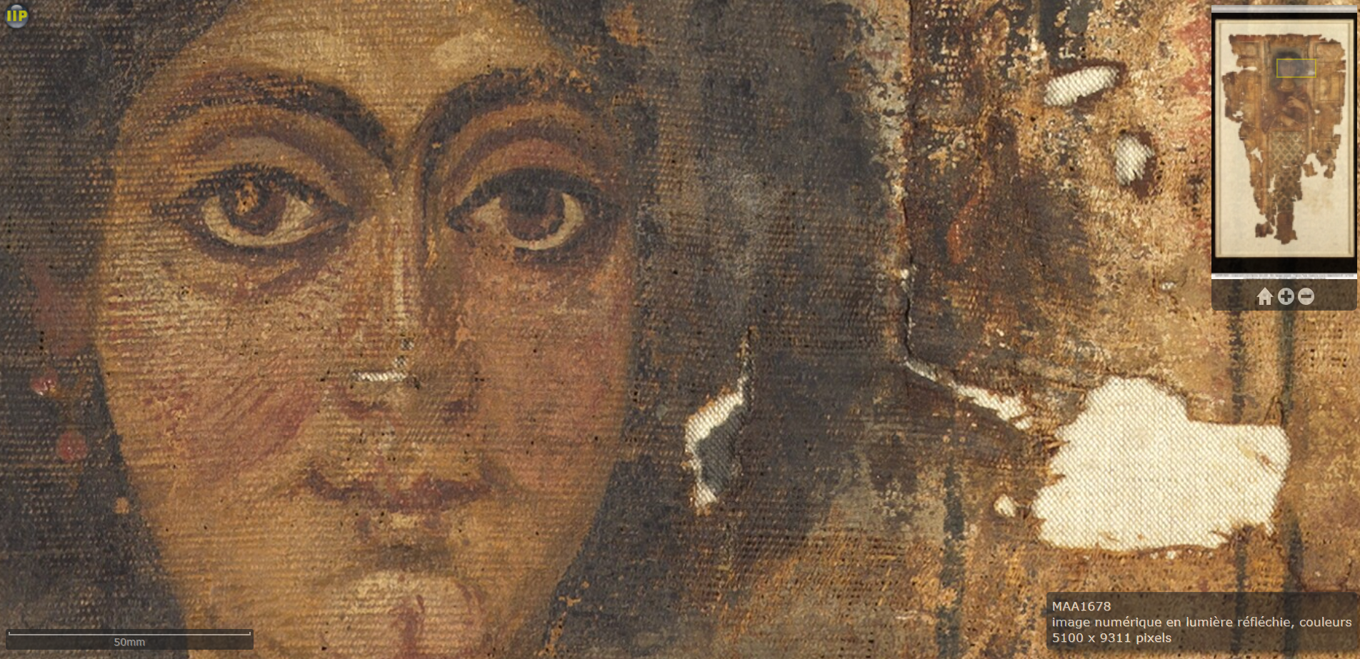 Linceul de femme (musée du Louvre, département des antiquités grecques, étrusques et romaines), détail