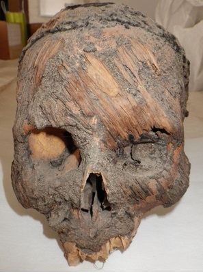 Momies du Musée Universitaire de Tarapacá 2