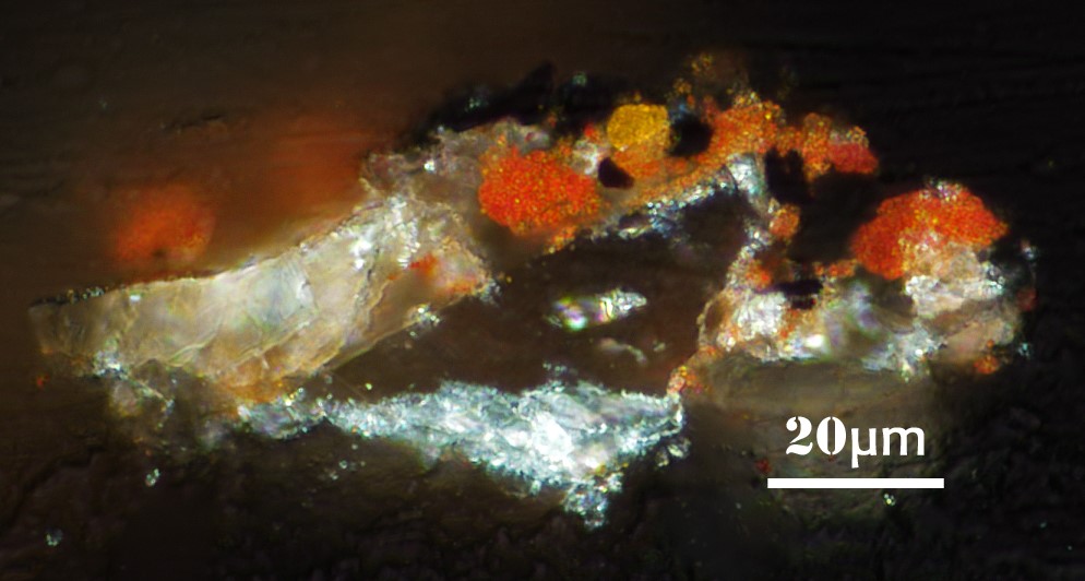 coupe stratigraphique au microscope optique des restes de polychromie rouge