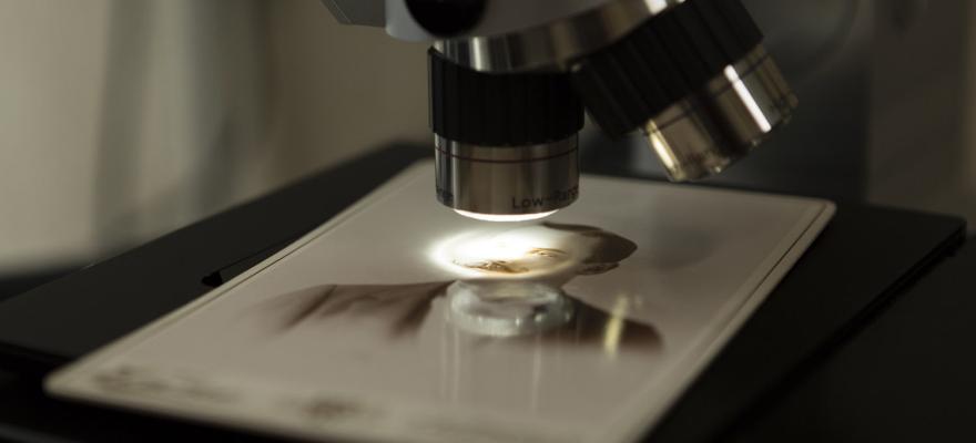 ill_page_recherche_CR