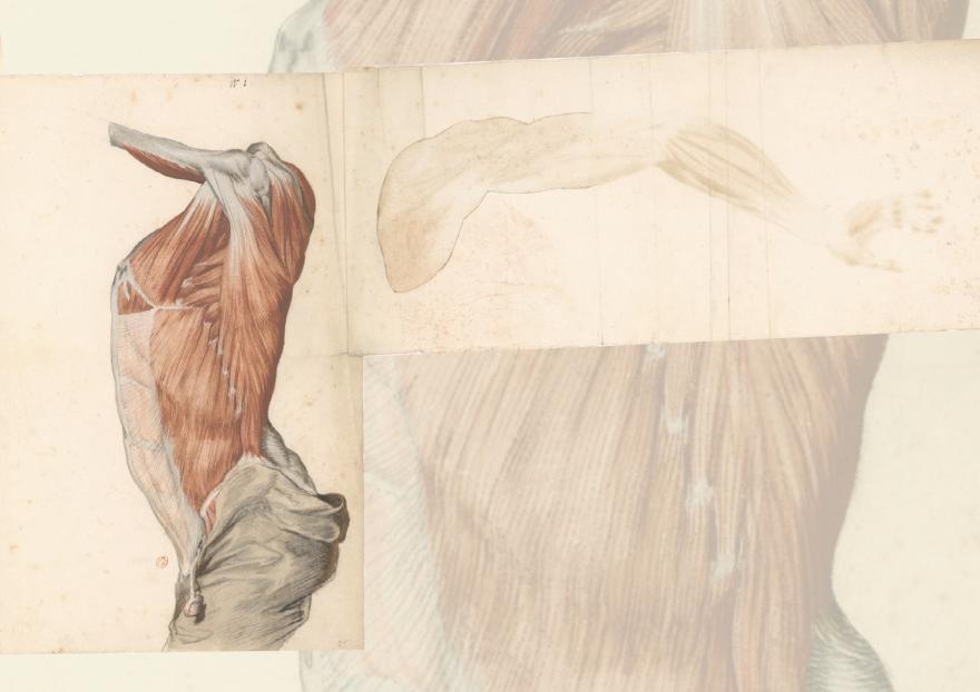 Affiche colloque BIUS