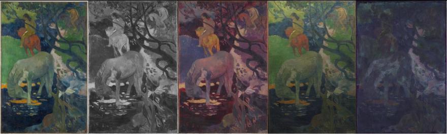 Paul Gauguin, Le Cheval blanc (Paris, musée d'Orsay), imagerie scientifique