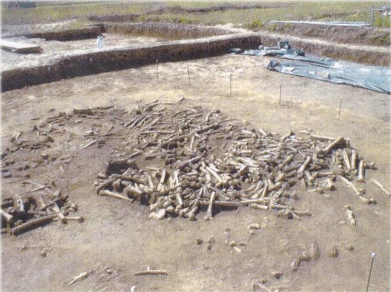 Fouille du site de Ribemont-sur-Ancre en 2000 