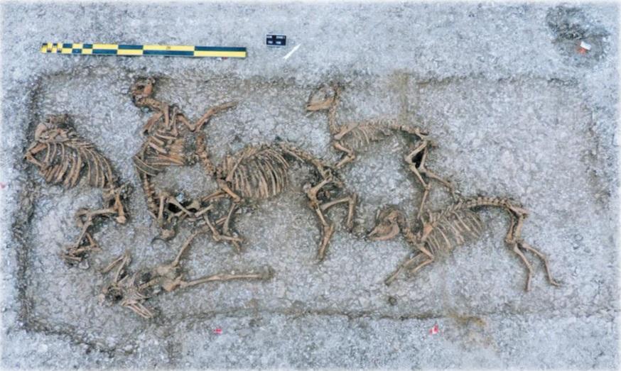 Fosse à offrande 1135 du site de Thézy-Glimont (Le Béchennec et al., 2016).jpg 