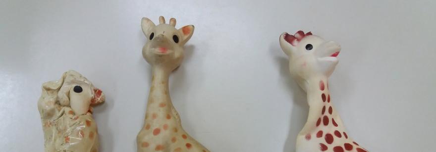 rogné bandeau site internet.jpg 