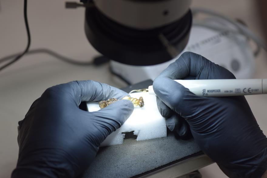 travail de restauration sur la palmette