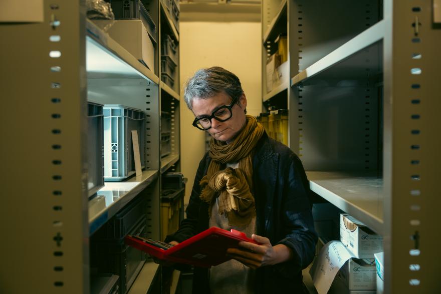 documenter - collecter