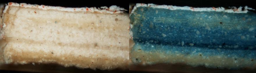 Figure 6 : Coupe stratigraphique de la polychromie des carnations du Saint Moine au microscope optique en lumière naturelle avant test (à gauche) et après coloration au noir amide 3 (à droite) mettant en évidence l’utilisation d’une colle animale dans la préparation (©C2RMF, Yannick Vandenberghe).