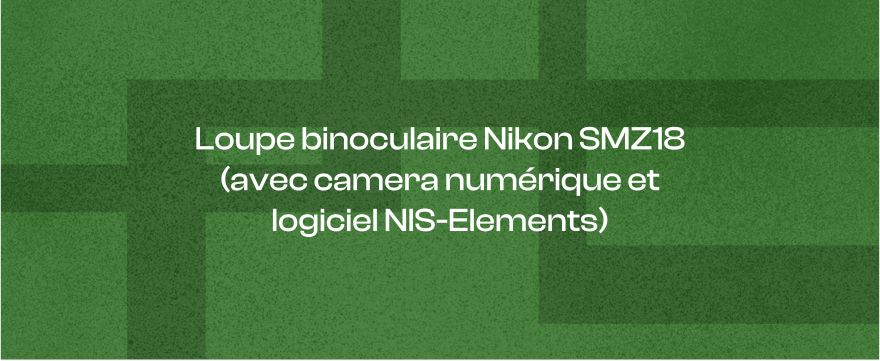 Loupe binoculaire Nikon SMZ18 (avec camera numérique et logiciel NIS-Elements)