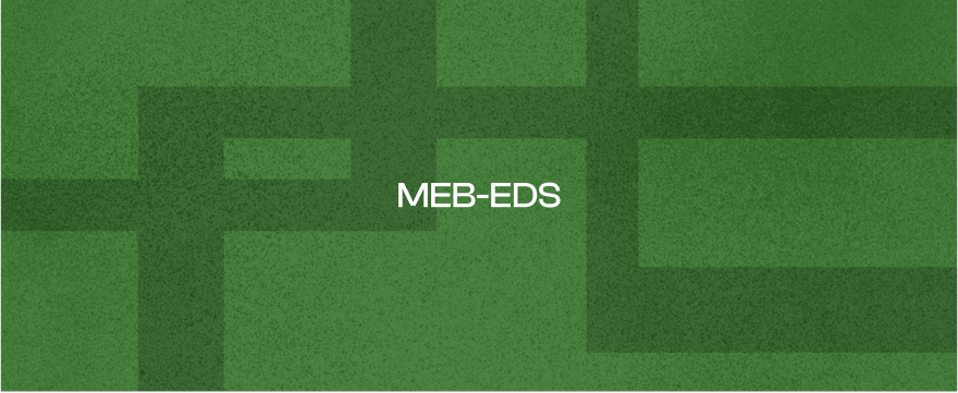 MEB-EDS 