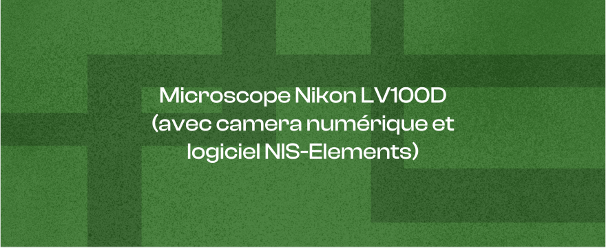 Microscope Nikon LV100D (avec camera numérique et logiciel NIS-Elements)