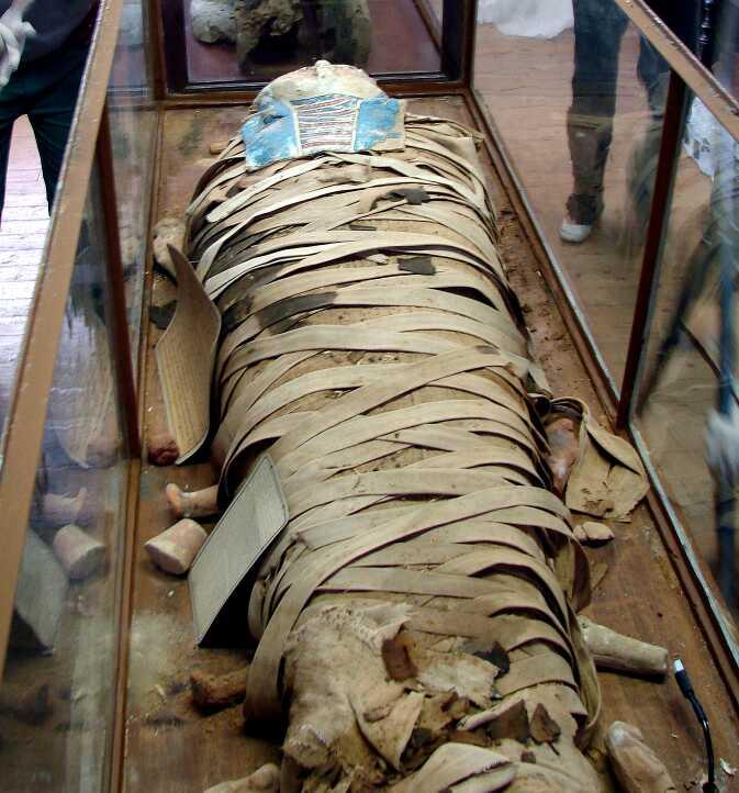 Media Name: la momie dans sa vitrine au musée avant intervention.