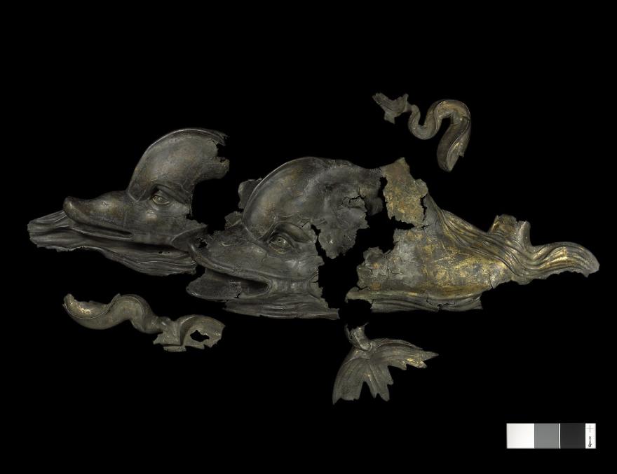 Media Name: pdauphins1.jpg