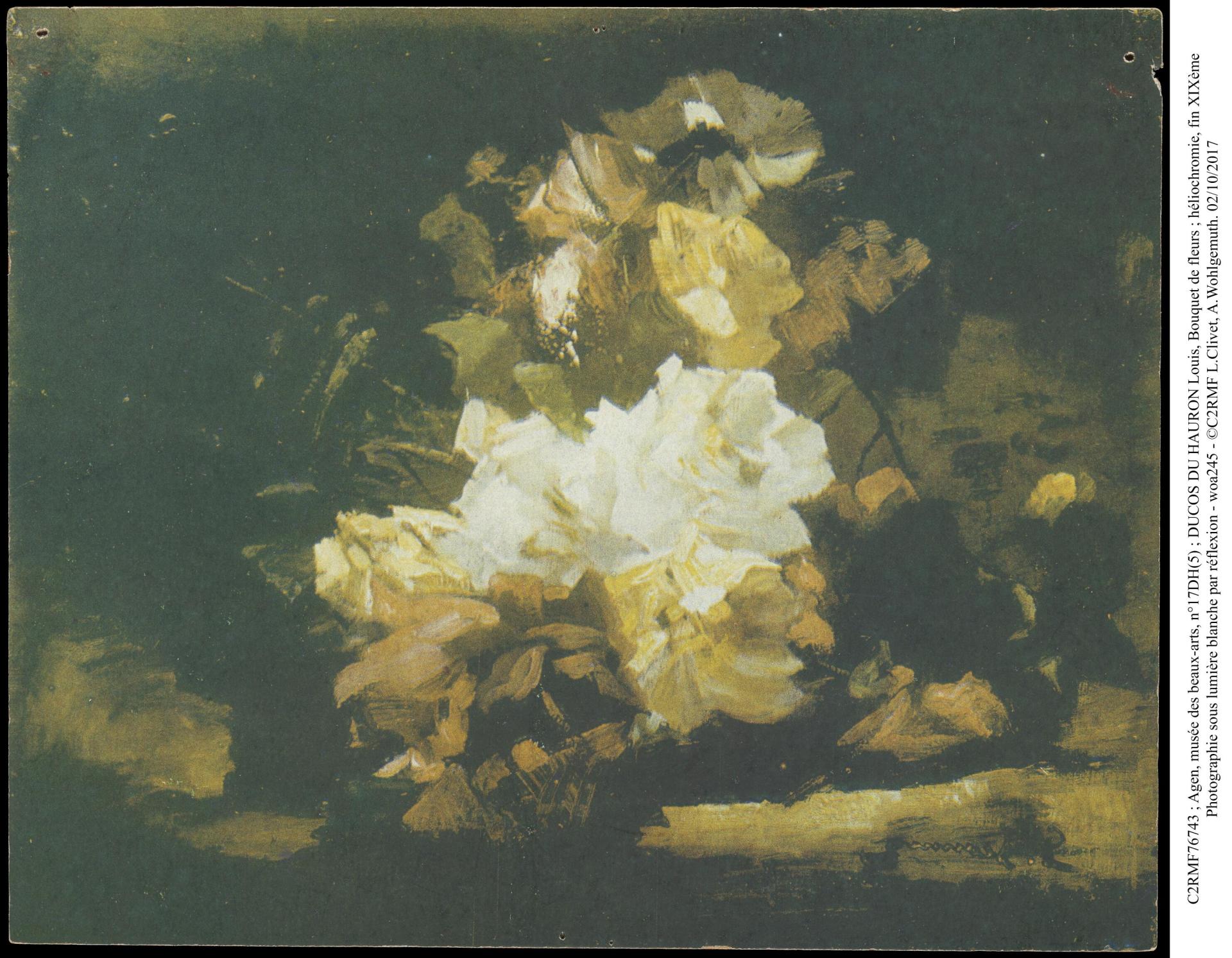 Bouquet de fleurs, Louis DUCOS DU HAURON 