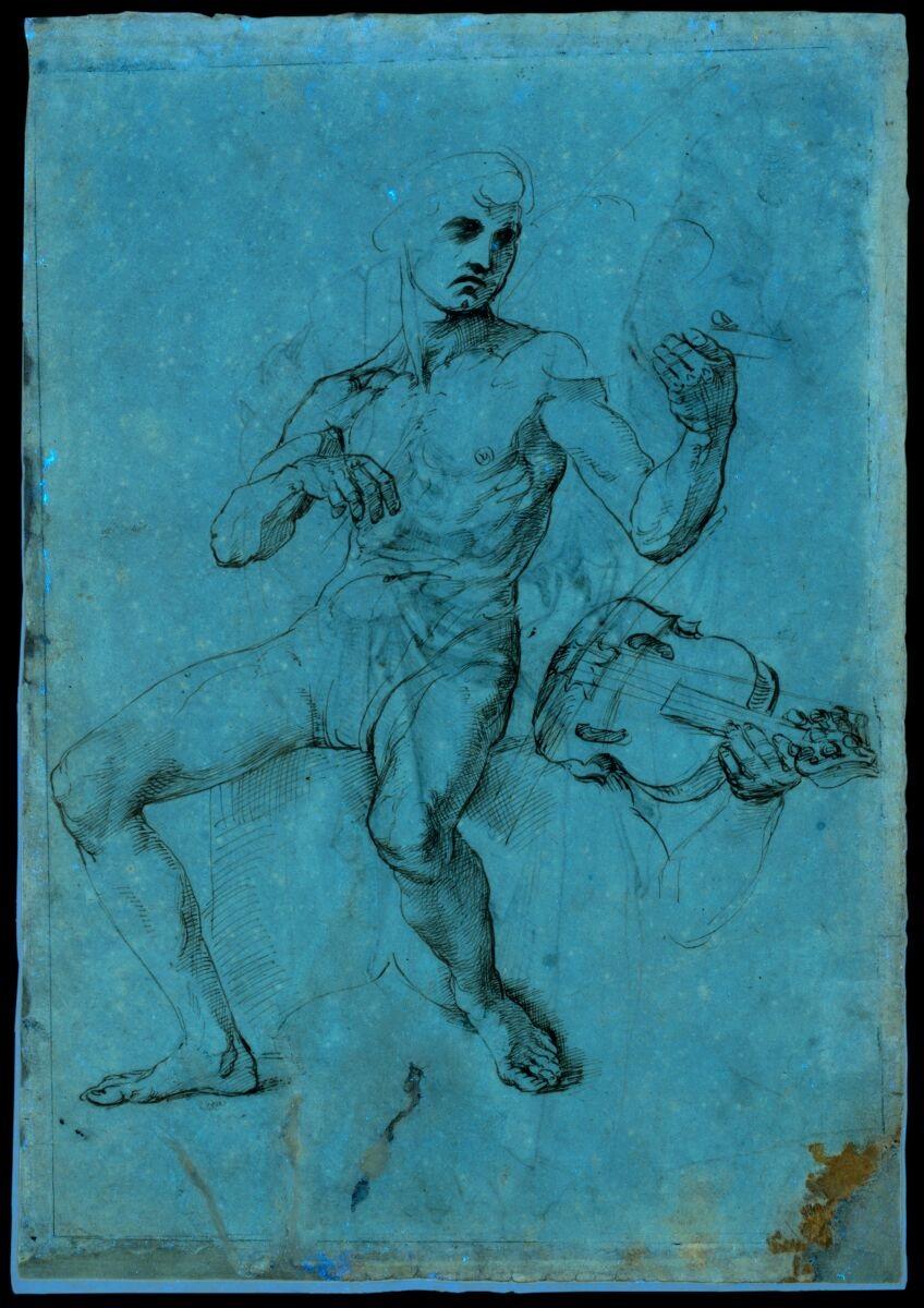 Photographie de la fluorescence en lumière visible induite par ultraviolet