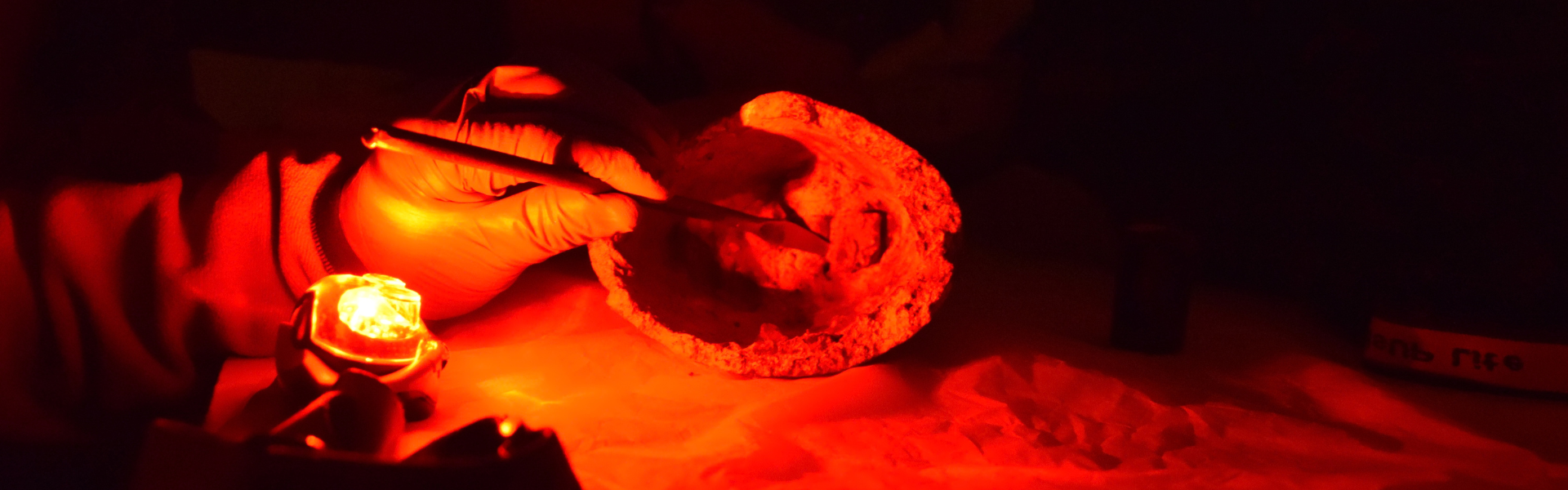 Le prélèvement en archéologie © Dominique Robcis